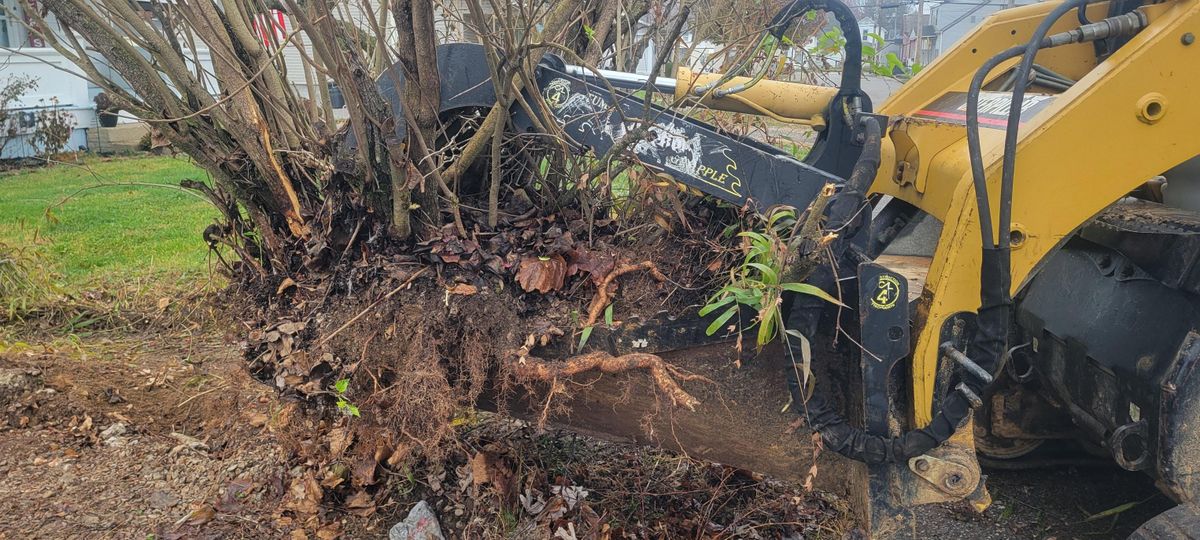 Skid Steer Services for Admiring Landscapes in Lancaster, OH
