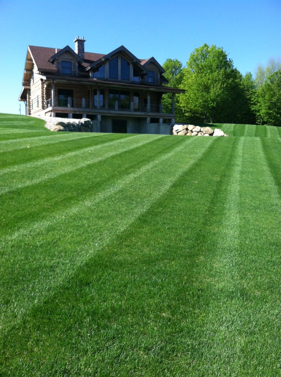 Lawn Care for Greenscape Lawns in Montague, MI