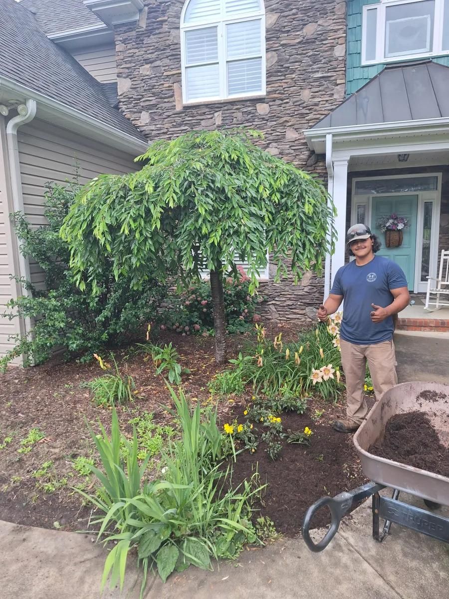 Residential Lawn Care for Olmedo Home Services in Davie County, NC