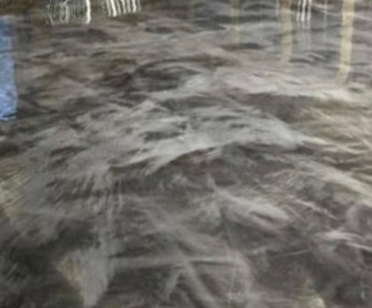 Epoxy Flooring Flaking for G3 Concrete LLC  in South Carolina, South Carolina 