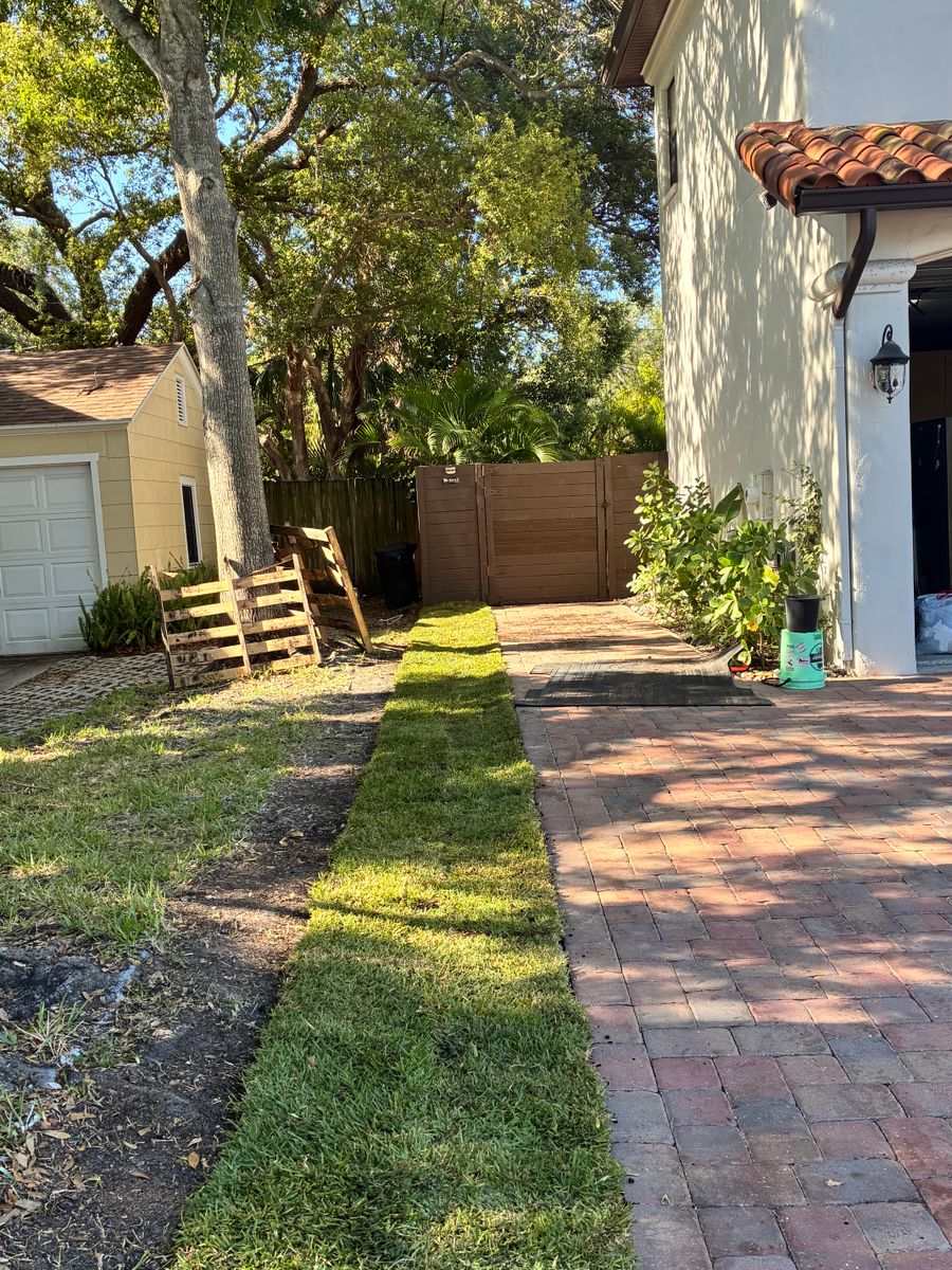 Sod Installation for Gulf Bay Sod in Clearwater, FL