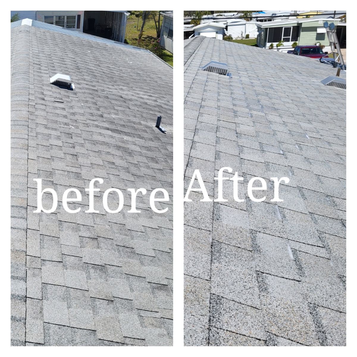 Sanitization Cleaning for My Softwash Guys in Venice, FL