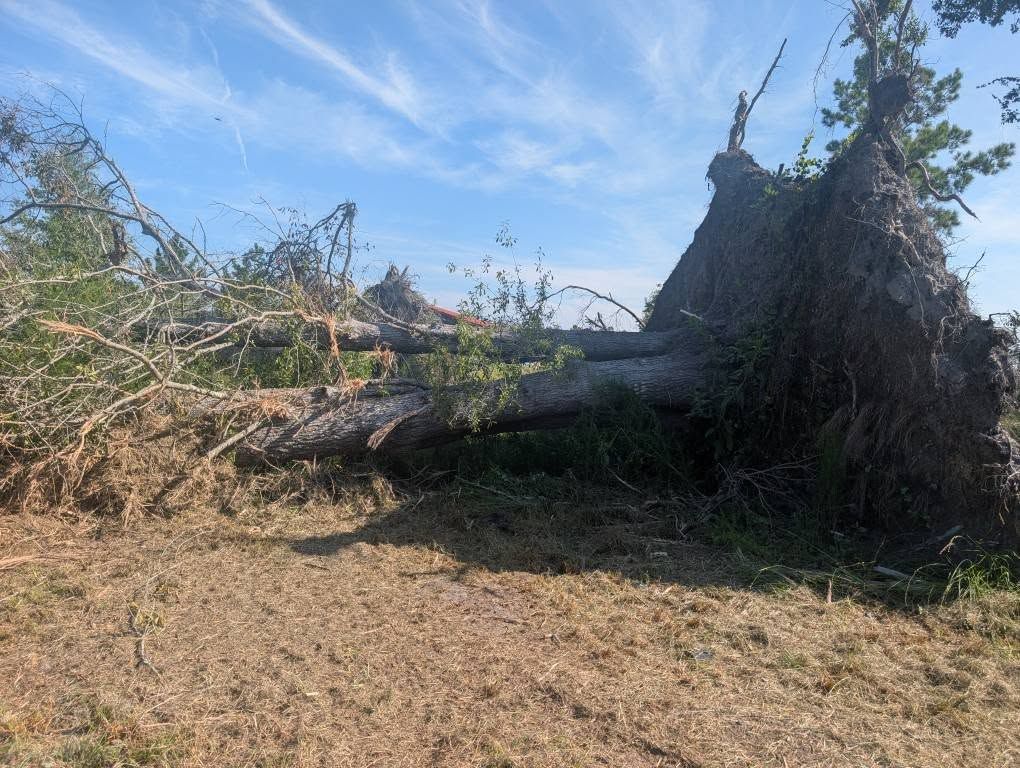 Tree and Debris Removal for TDWS Land Management in Blackshear, GA