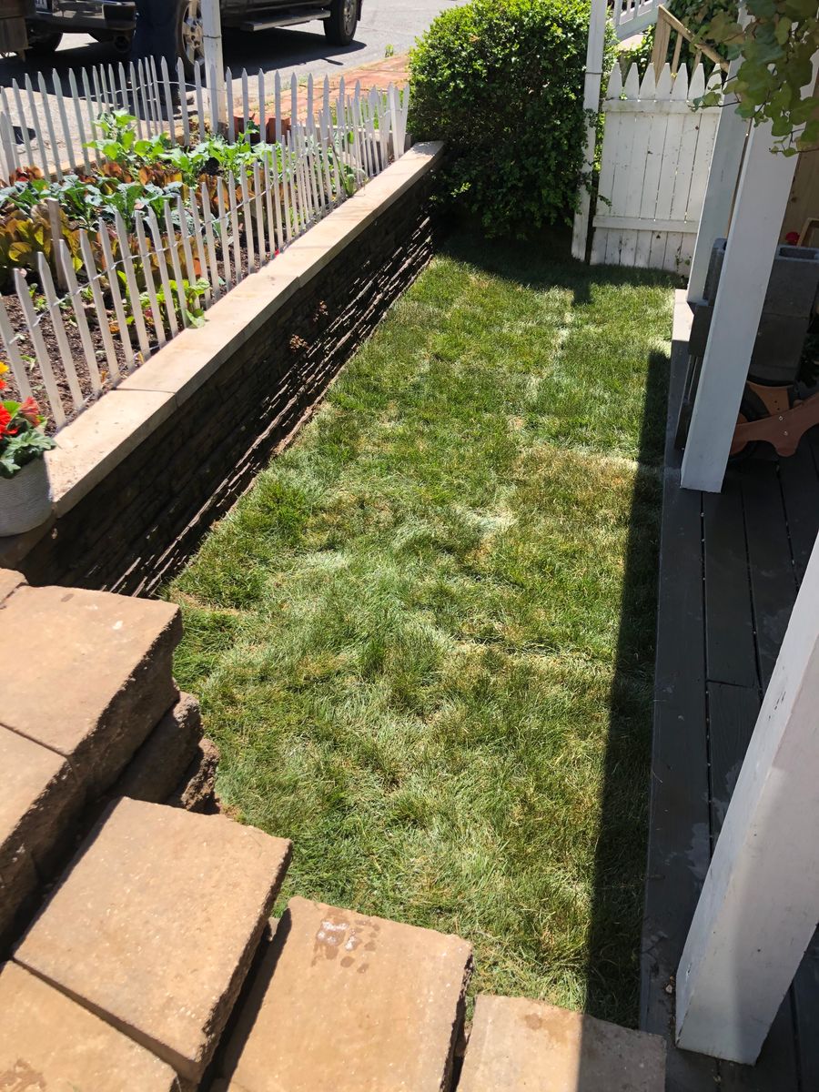 Sod Installation for ALPHA LANDSCAPES in Culpeper, VA