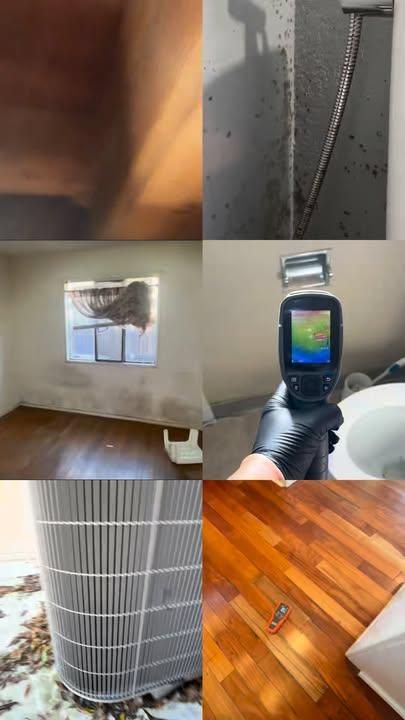 Mold Inspections for Lira Home Inspections in Concord, CA