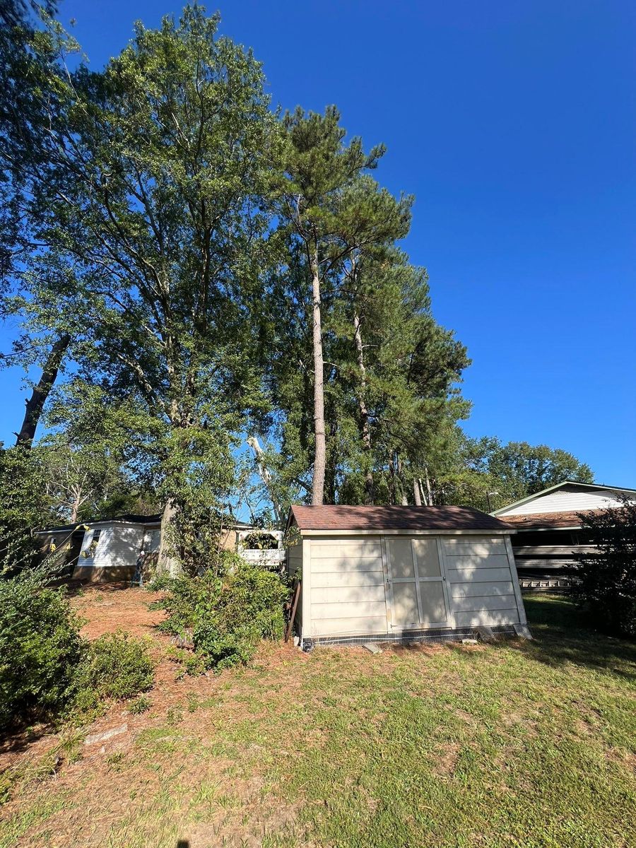Tree Trimming for Brooks Tree Service, LLC in Casar, NC
