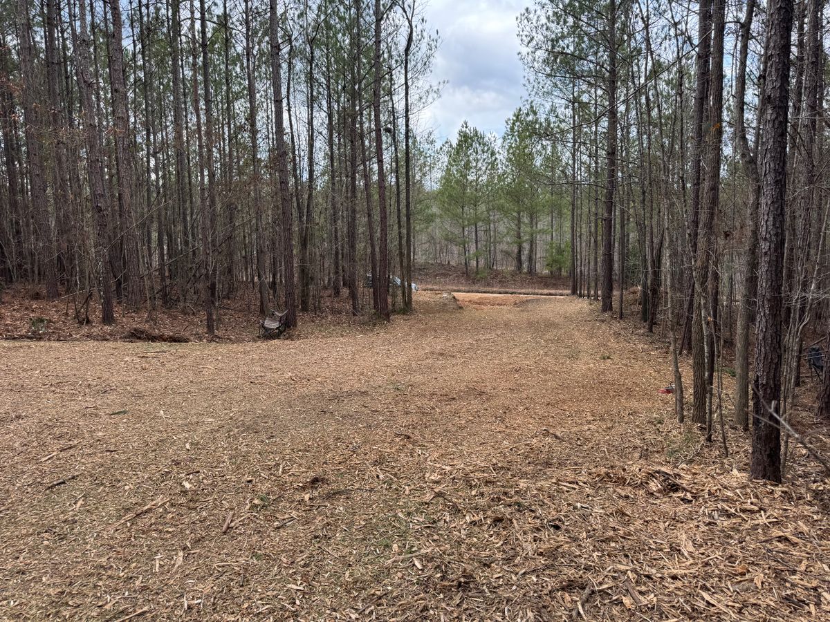 Forestry Mulching for KLNAX Enterprises in Newton County, GA