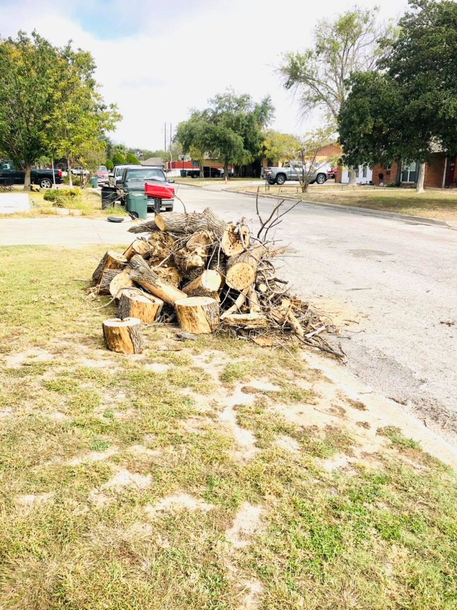 Tree Trimming and Removal for Del Real Landscape Contractors LLC in Del Rio, TX