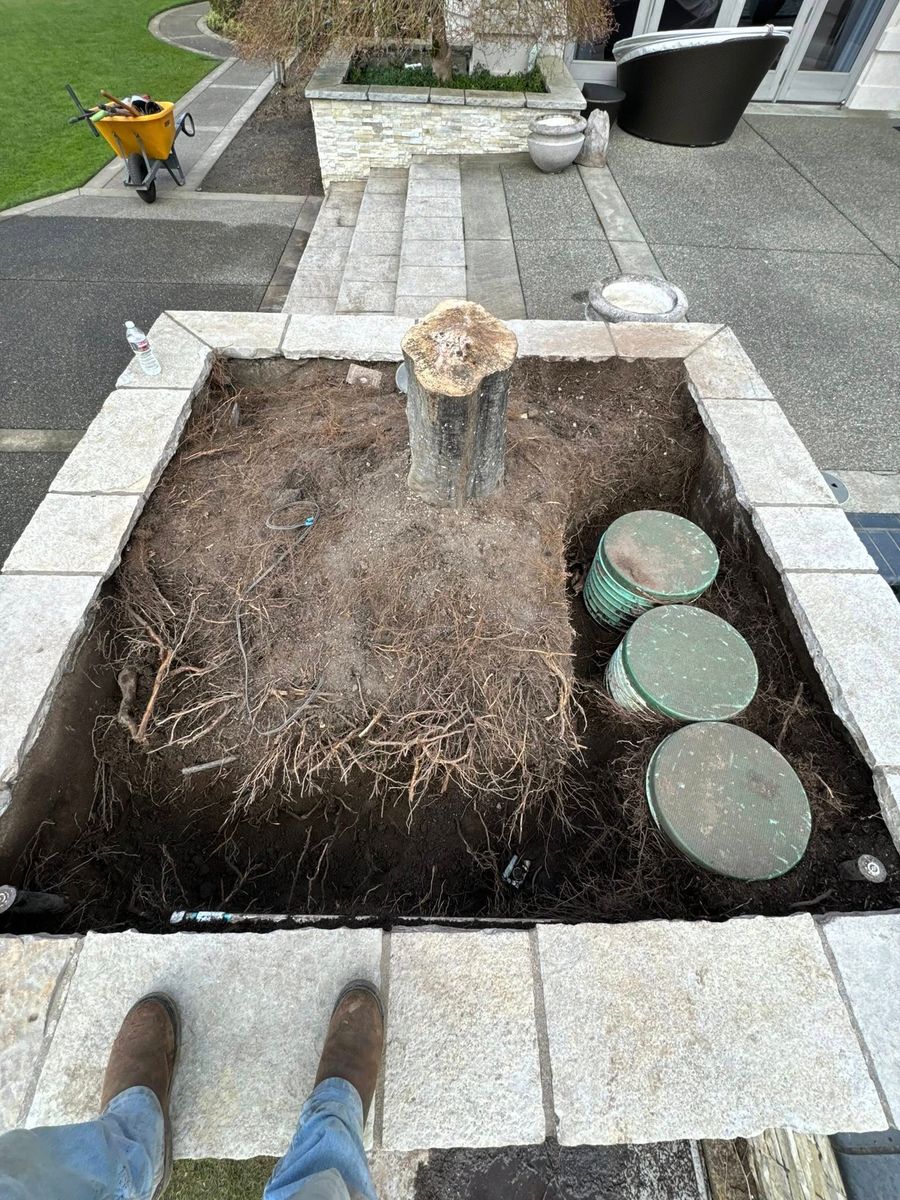 Mulch Installation for Teo’s Property Maintenance and Solutions in Redmond, WA