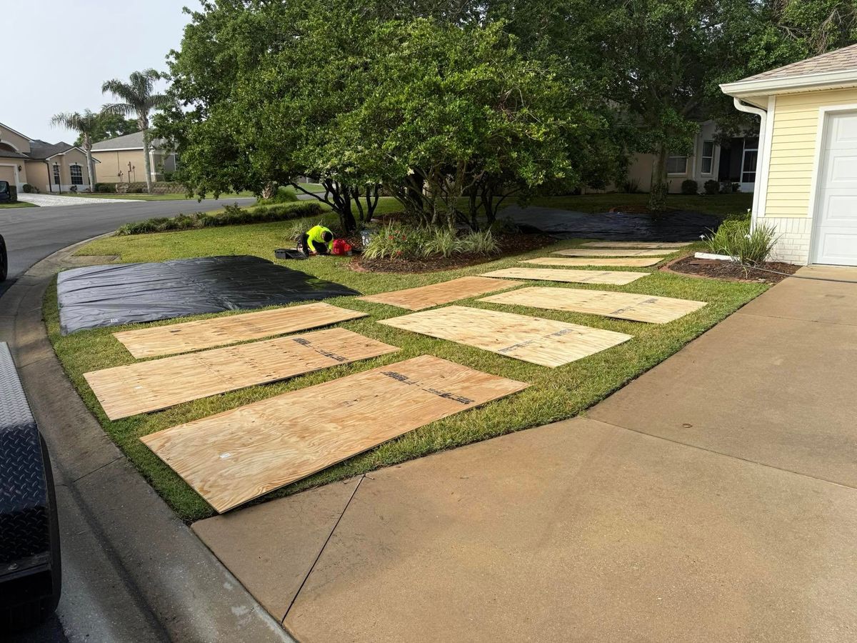 Tree Pruning for Amerigrown Tree And Lawn in Apopka, FL