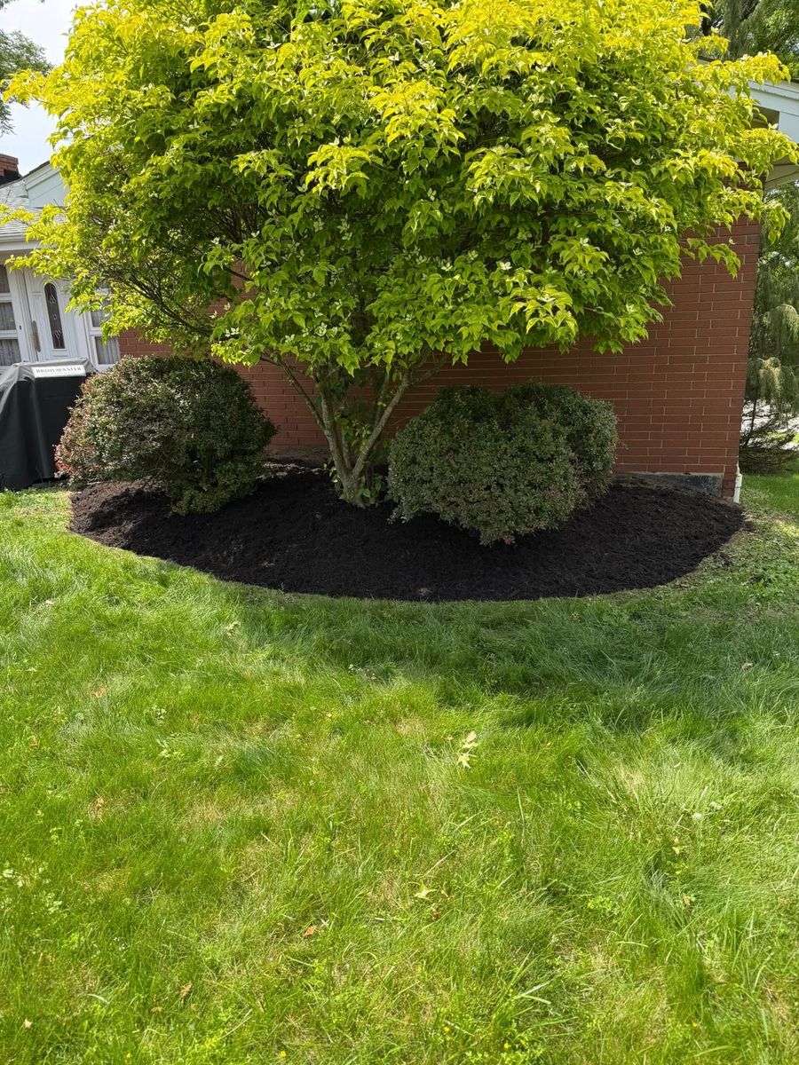 Tree & Shrub Care for Wilder Landscaping Services in South Park, PA