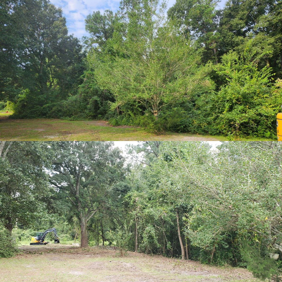 Forestry Mulching for TJ Farm and Land Management in Loris, SC