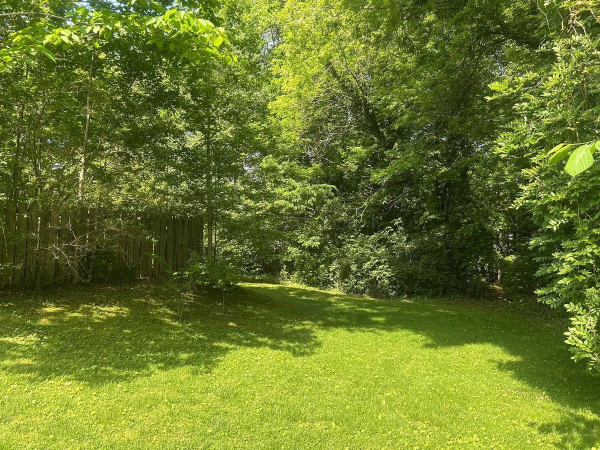Forestry Mulching for D&D Land Services in Jasper, GA