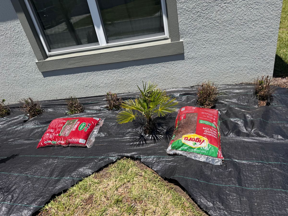 Landscape Design for The Yardman in Tampa, FL