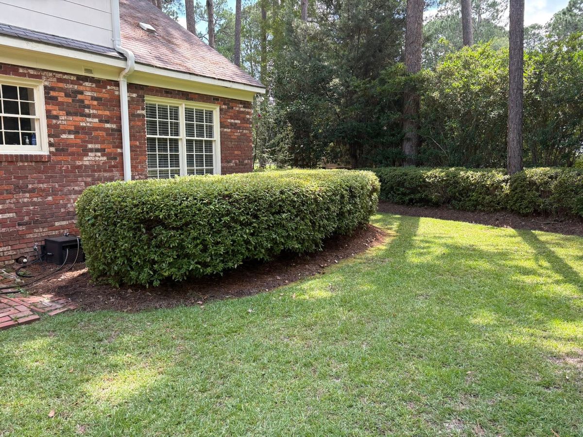 Lawn Maintenance for Scalco’s Land Services in Statesboro, GA