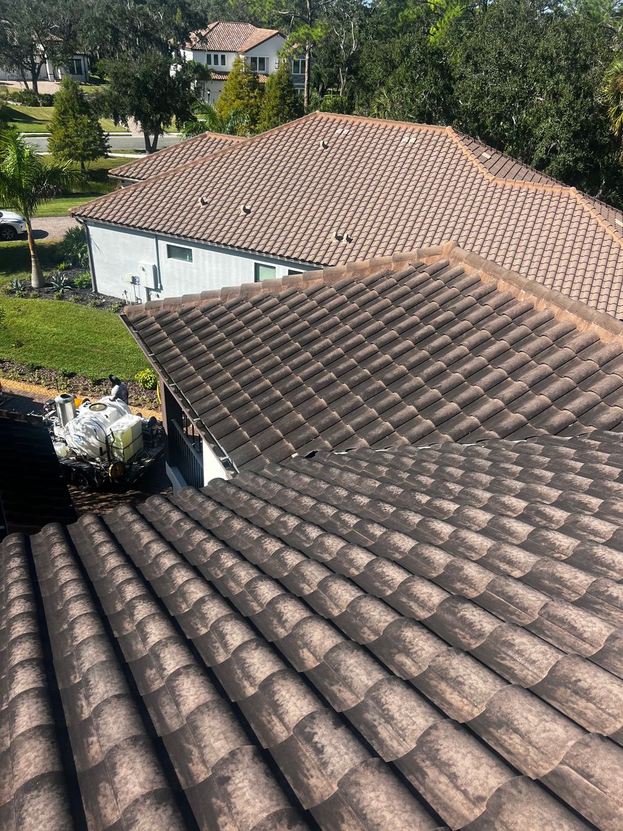 Roof Cleaning for Barr None Wash Pro in Tampa, FL