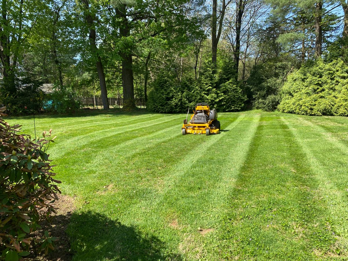 Lawn Maintenance for Stevenson Property Maintenance in Cheshire, CT