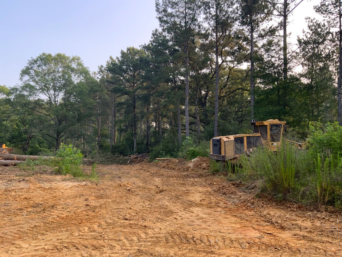 Tree Services for Broadway & McMullen Construction in Hattiesburg, MS