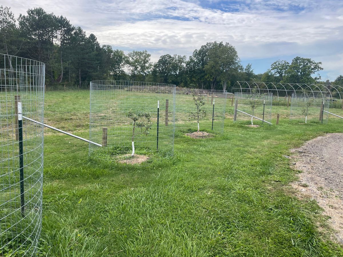 Fence Installation for TMF Services in Lapeer County, MI