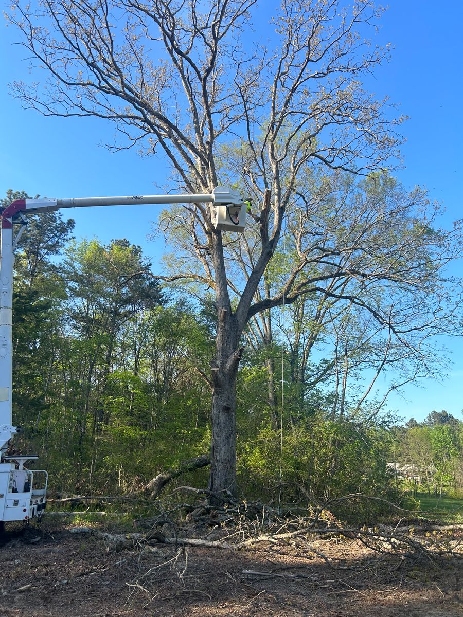 Land Clearing and Development for Triple H Construction in Cave Spring, GA