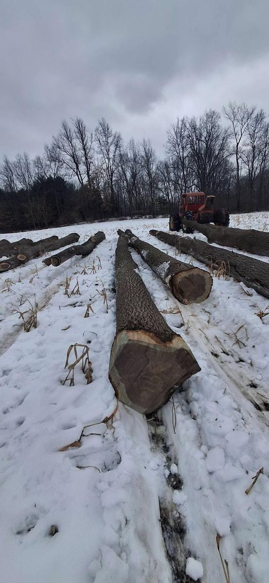 Timber Management for God's Country Timber Management in Hillsdale, MI