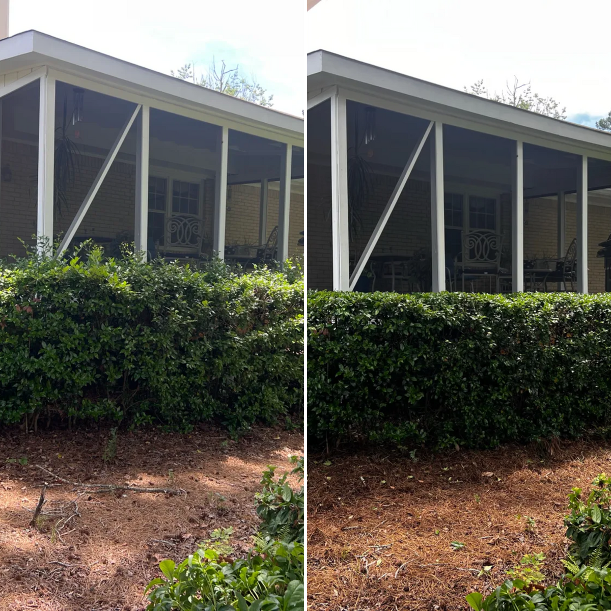 Tree and Shrub Care for Buildscape in Covington, GA