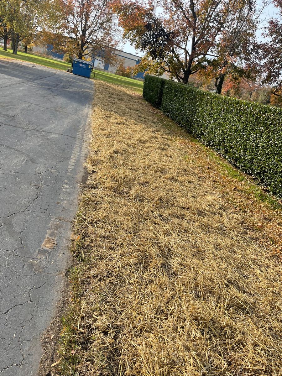 Skid Steer Services for Hurley's Cutz in Saint Leonard, MD