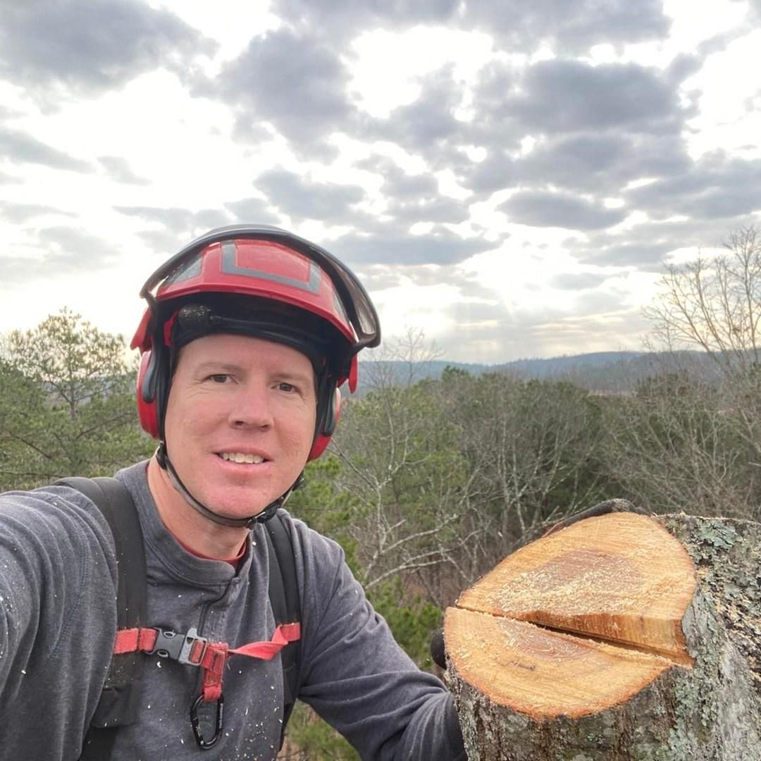 Stump Removal for Pinedown LLC in Cherokee County, GA