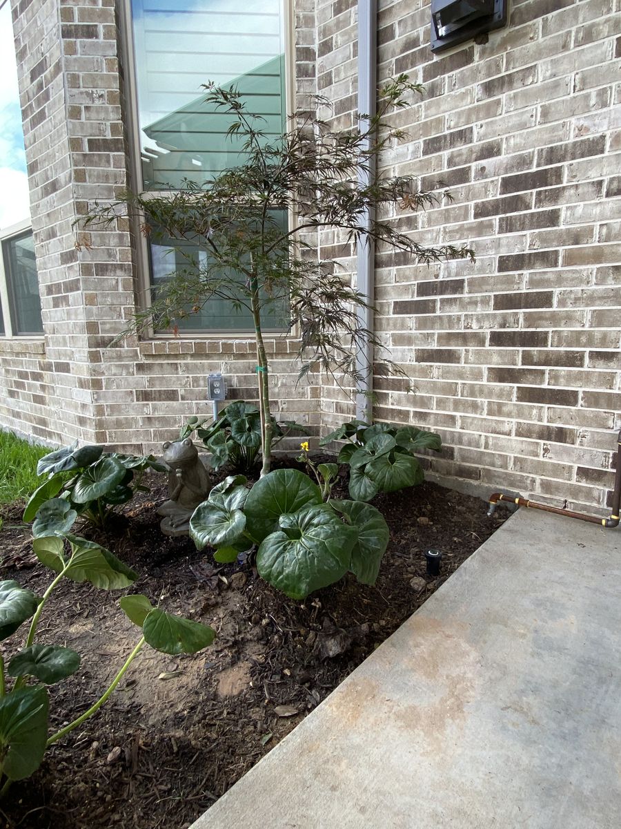 Landscape Installation for Atlas Land Design in Creekside Park, TX