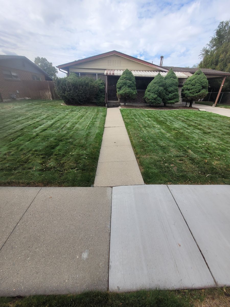 Lawn Aeration for Silver Service Pros in Riverton, UT