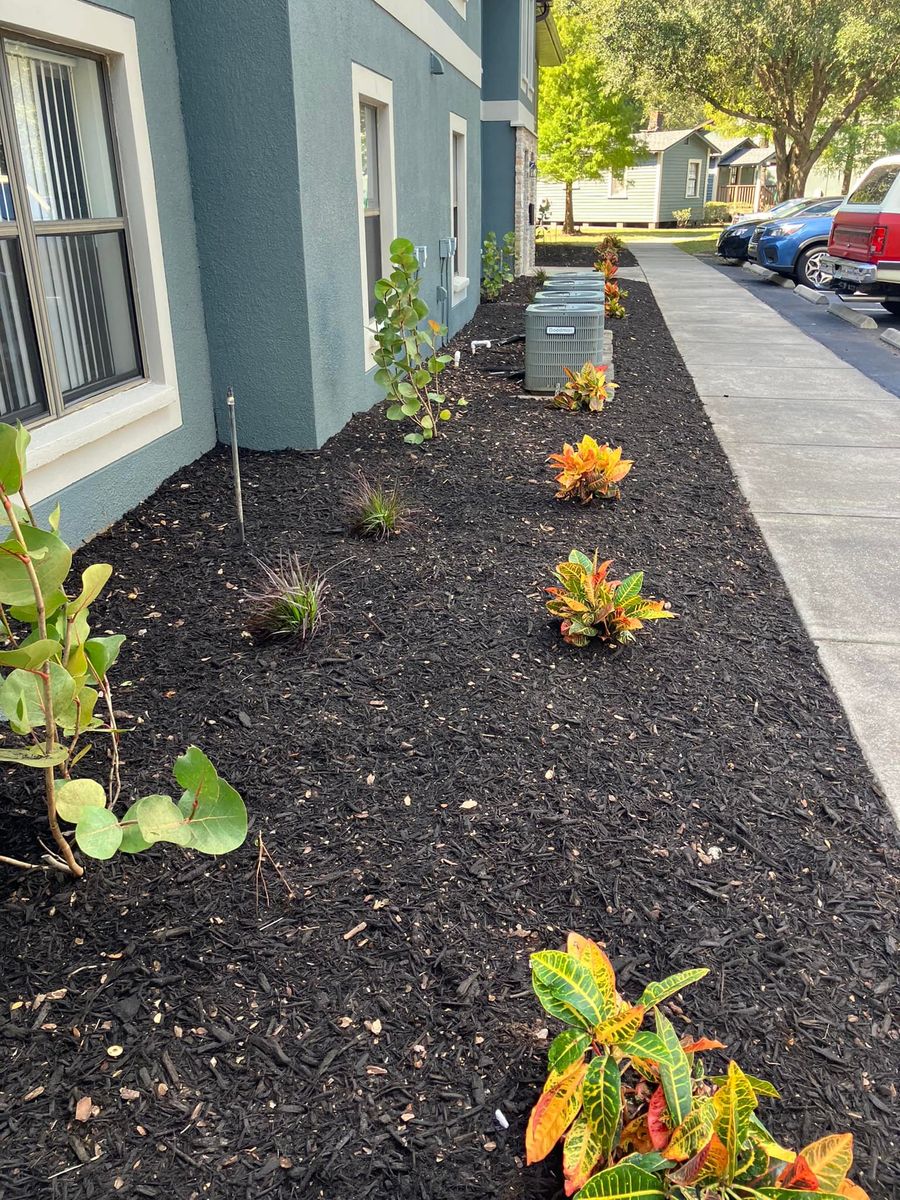 Mulch Installation for Genesis Landscape Services in Spring Hill, FL