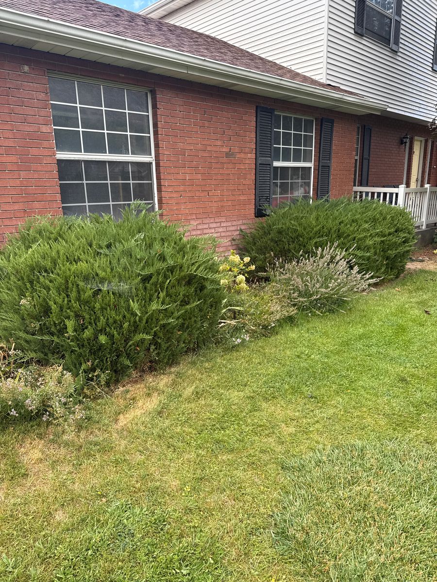 Weed Control for Platinum Lawn Service in Santaquin, UT