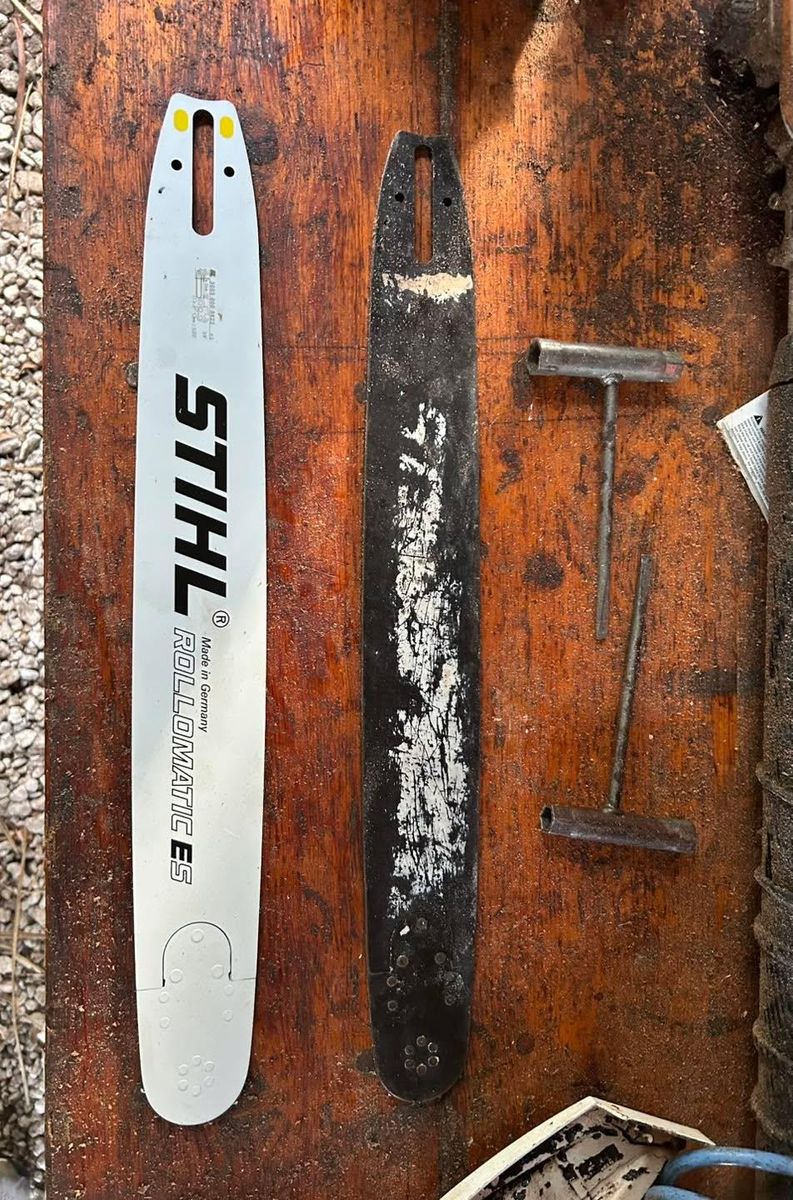 Tree Removal for Adam's Tree and Stump Care in Sarasota, FL