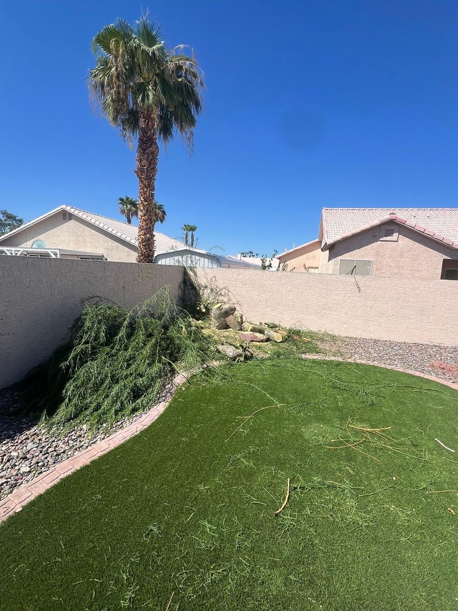 Landscape Design for Top Notch Landscape Services LLC in Mohave Valley, AZ