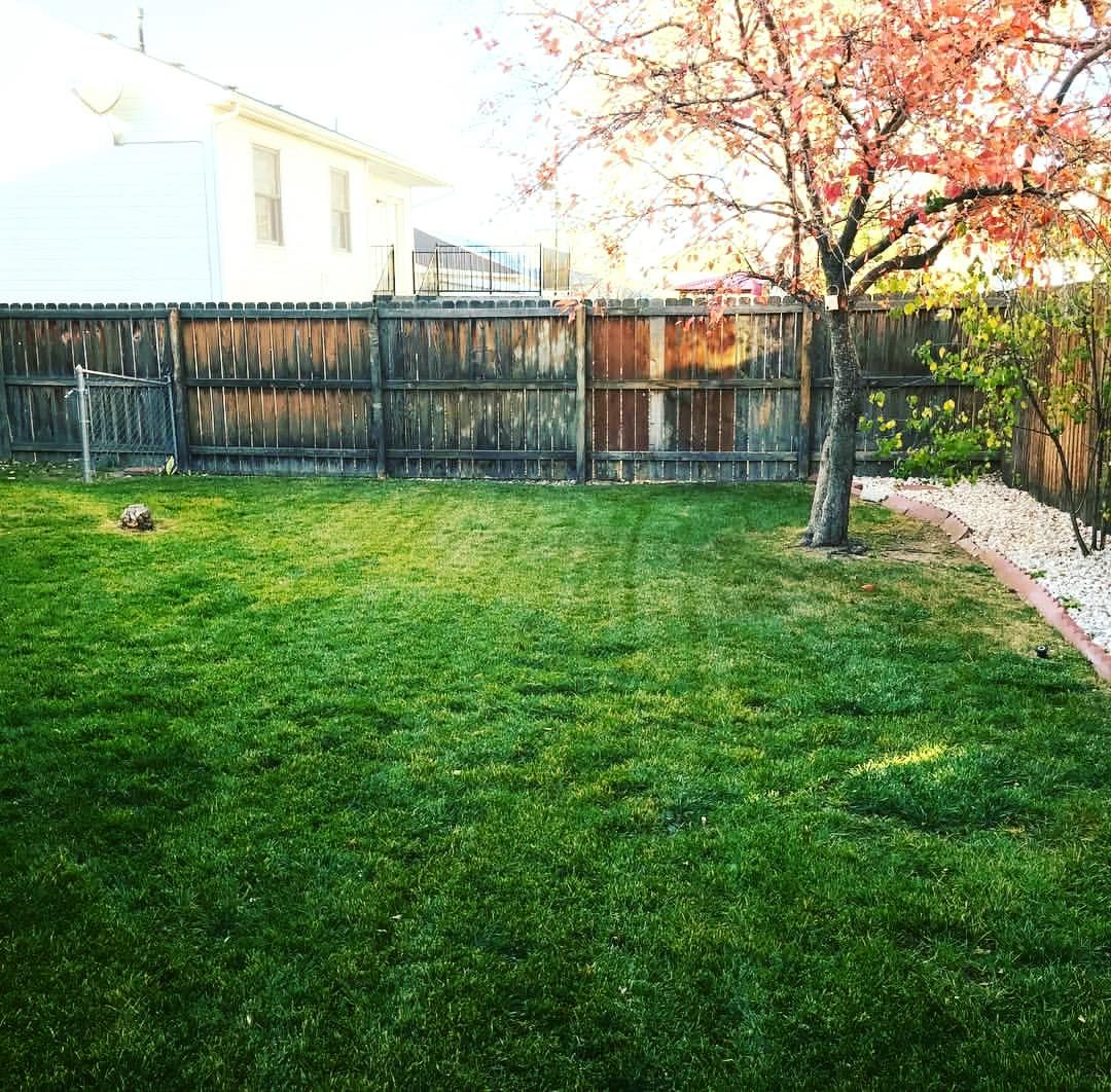 Lawn Maintenance for Rock Masters Inc. in Evans, CO