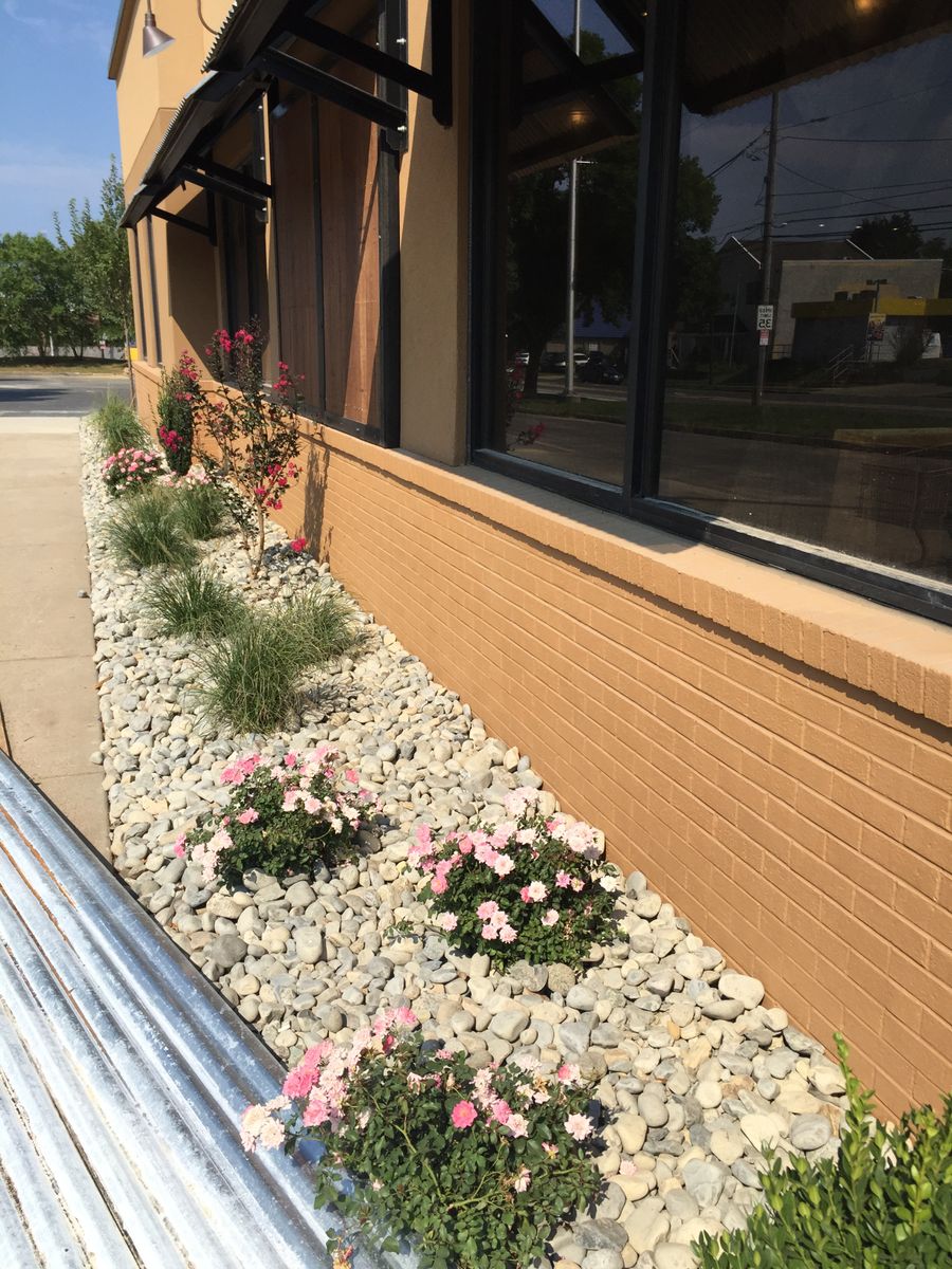 Weeding for The FAAR Group INC in Chalfont, PA