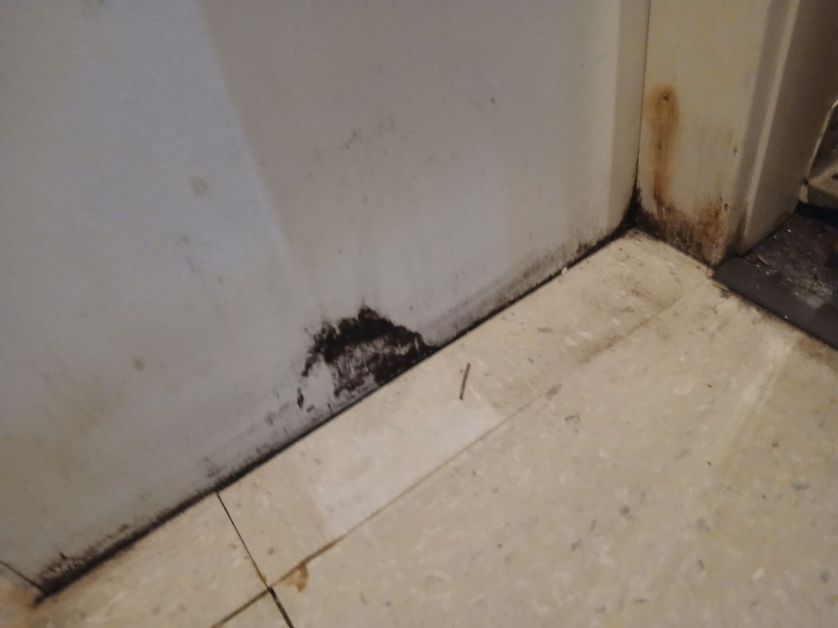 Water Damage Repair for Top Tier Drywall and Painting LLC in Rosenhayn, NJ