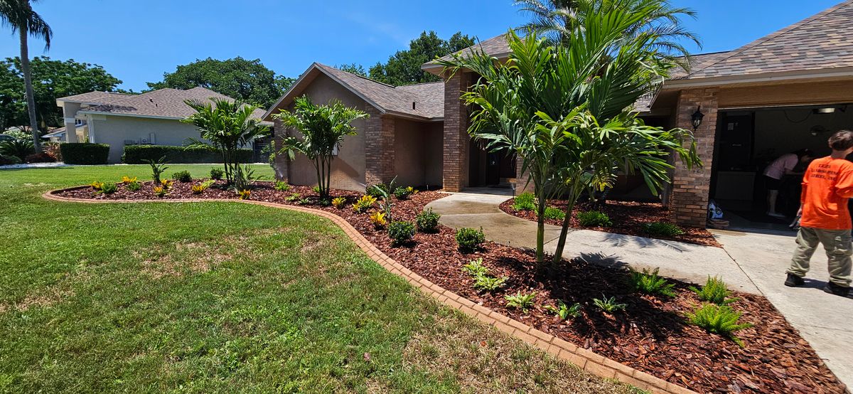 Palm Tree Installation for Tezna Landscaping, Trees & Pavers in Valrico, FL