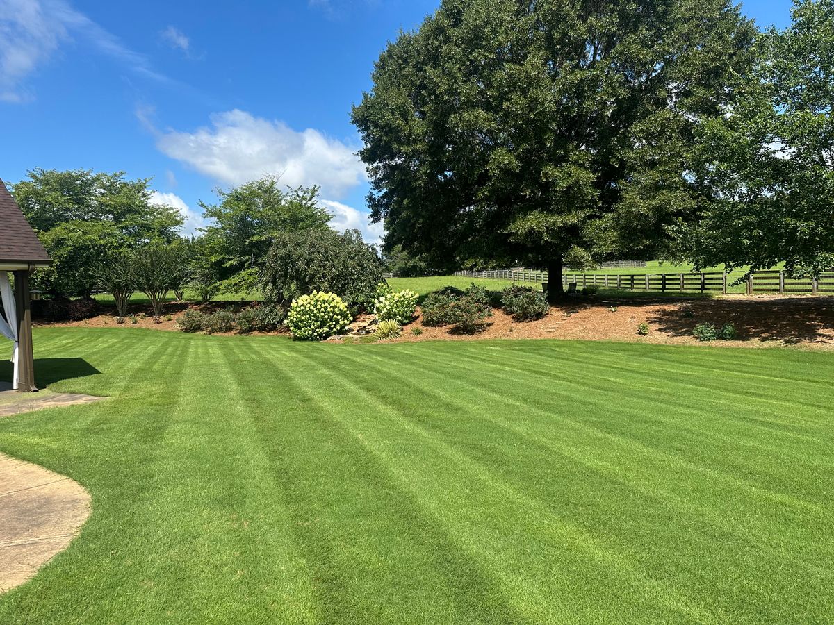 Pinestraw/Mulch installation for Hedgecraft Landscaping LLC in Senoia, GA