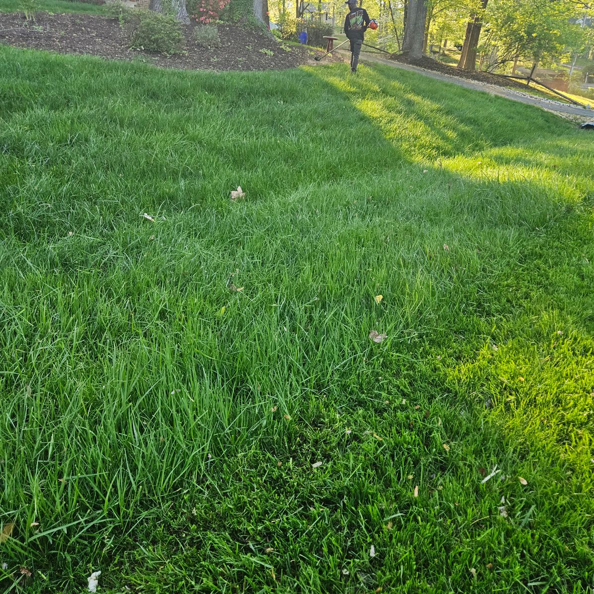 Lawn Maintenance for Sam I AM Property Solutions in Sunderland, MD