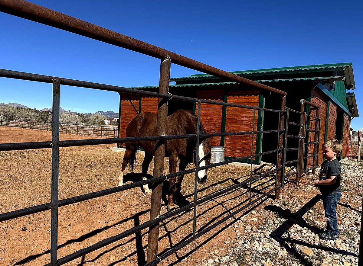 Fence Installation for Burton Fencing in Parowan, UT