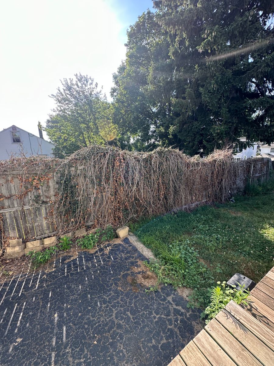 Landscaping for Nate’s Handyman Services in Rochester, NY