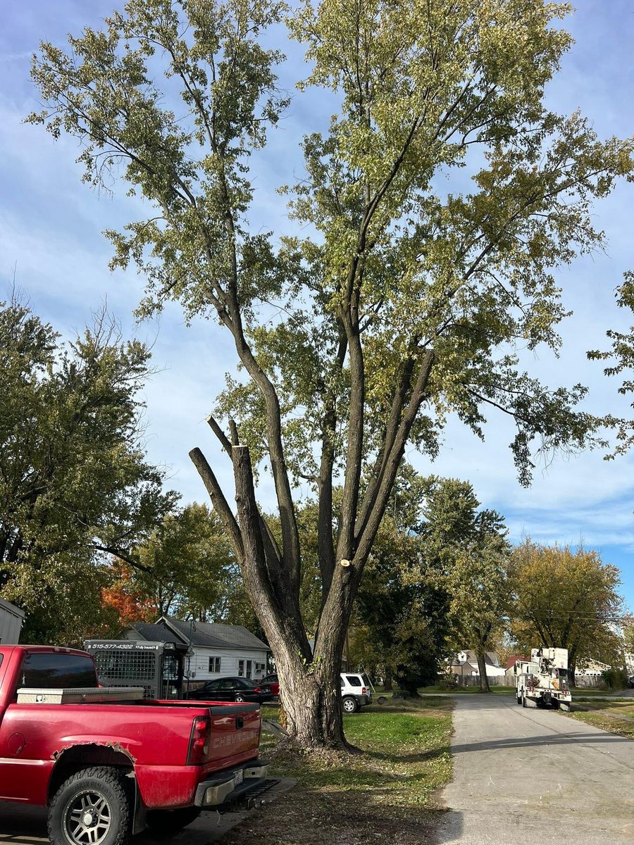 Property Clean Up for Baker Professional Services LLC in Shelbina, MO