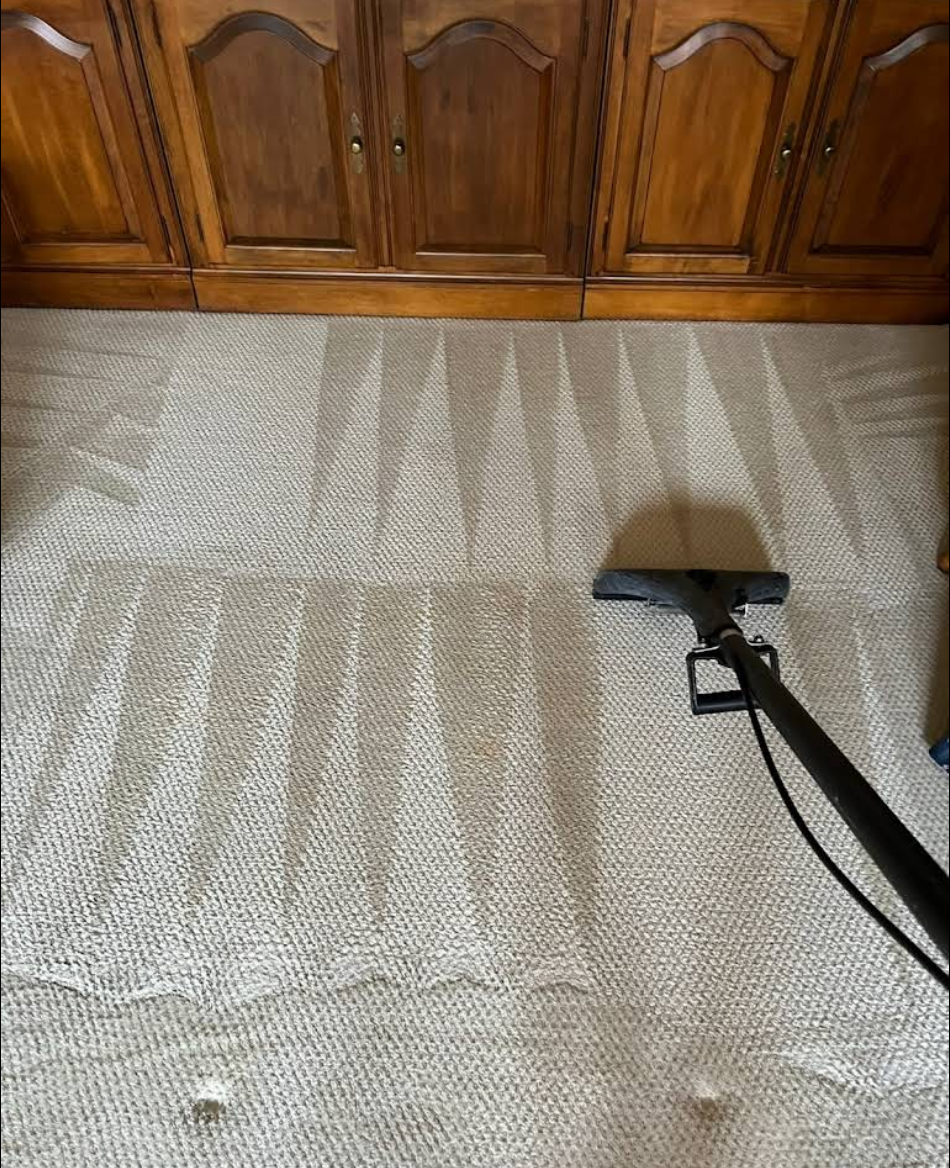 Deep Carpet Cleaning for Banderas Cleaning Service in Elsmere, DE