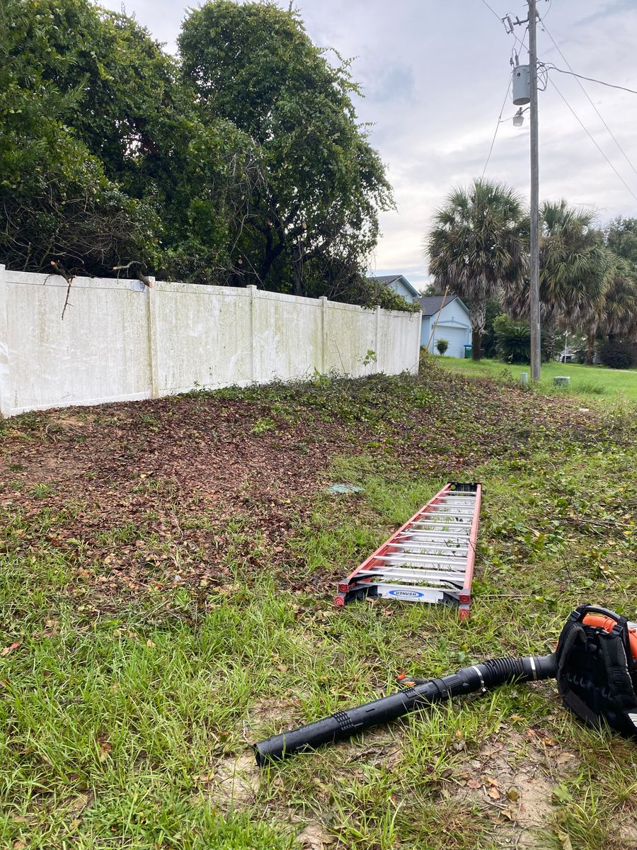 Storm Relief  for Tree Amigos Tree Service in Ocala, Fl