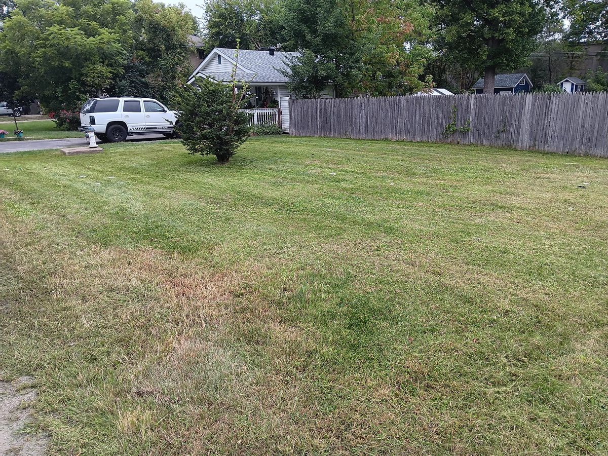 Mowing for Mr. Prestige Lawn Care Perfectionist in Columbus, OH