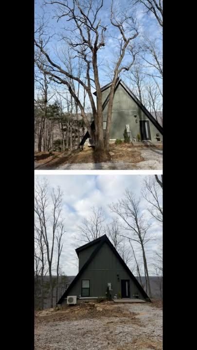 Tree Removal for McBee’s Tree Service in Sewanee, TN