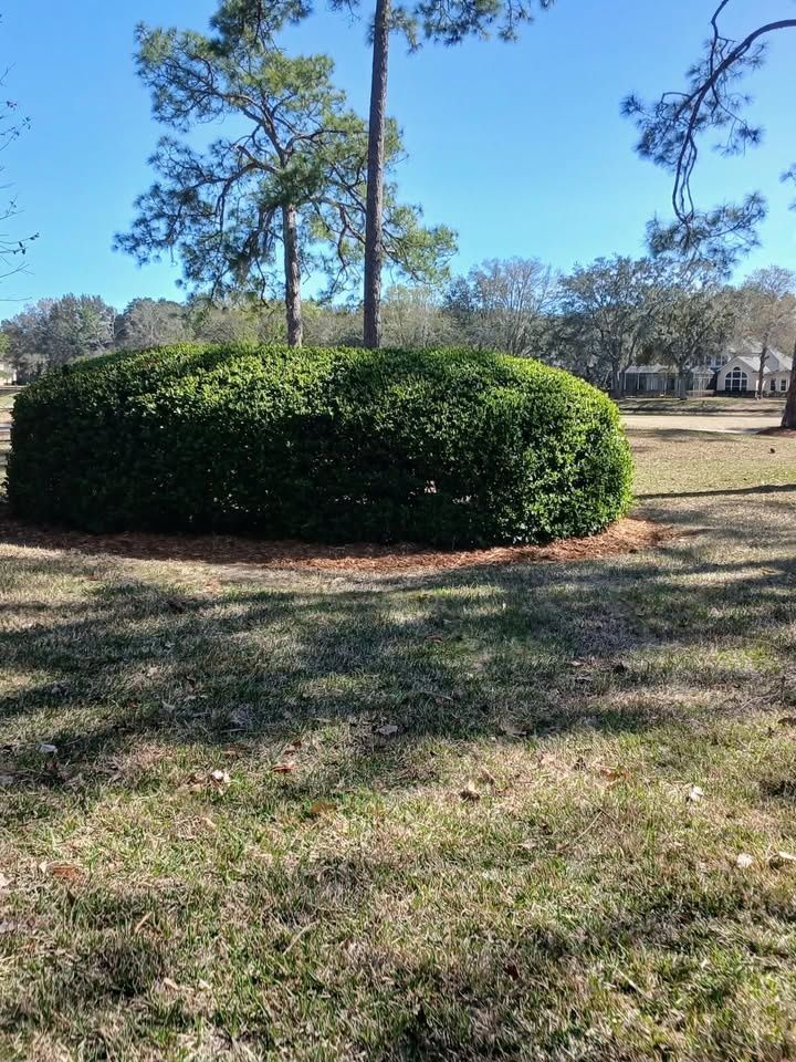 Mulch Installation for Whole 9 Yards Services LLC in Green Cove Springs, FL