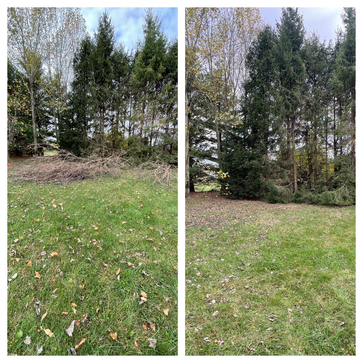 Tree Removal for Wininger Landscaping in New Richmond, IN