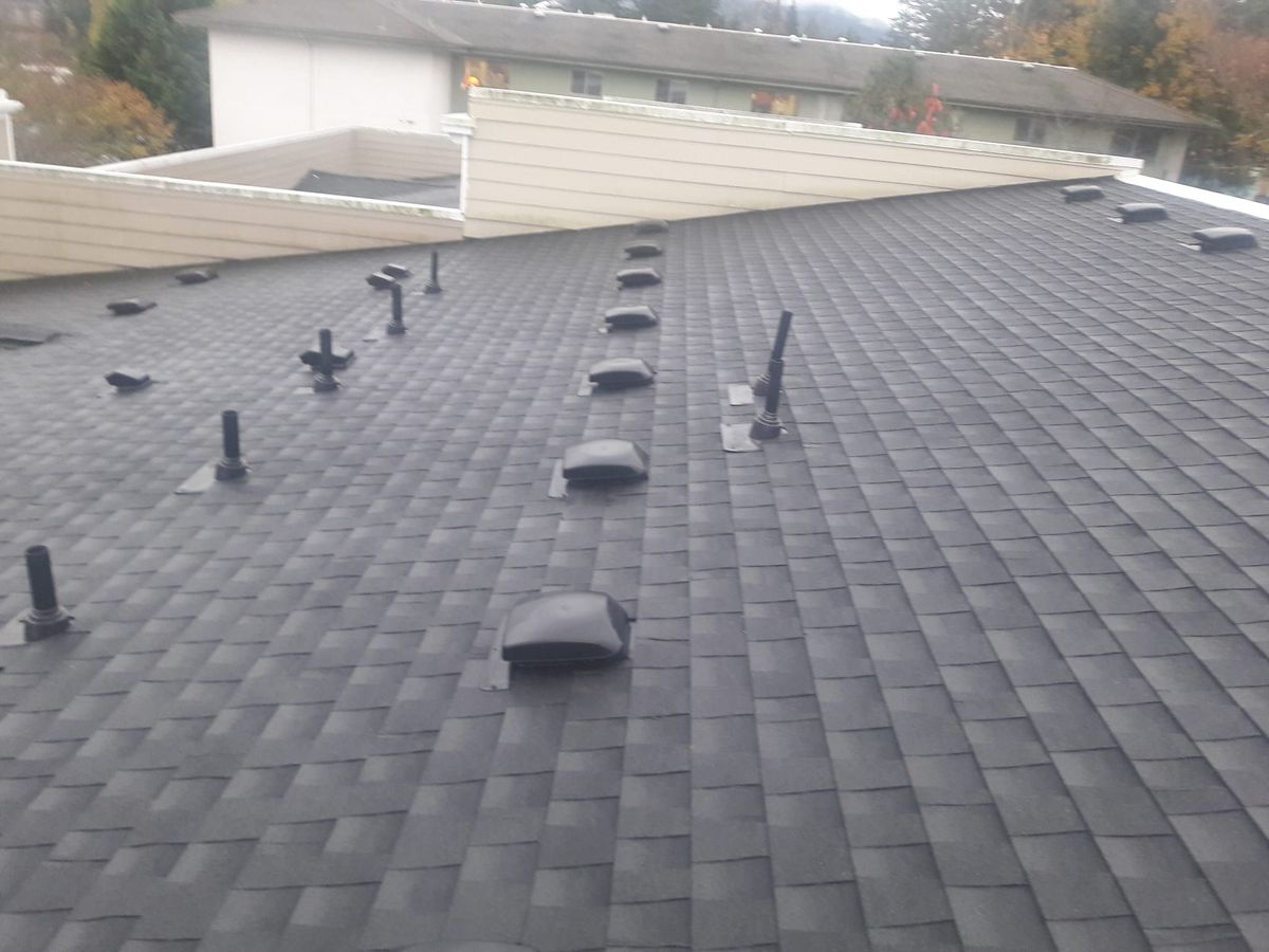 Shingle Roofing for ATJ Roofing LLC in Bellingham, WA